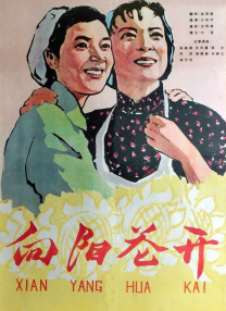 天天干天天操天天爱